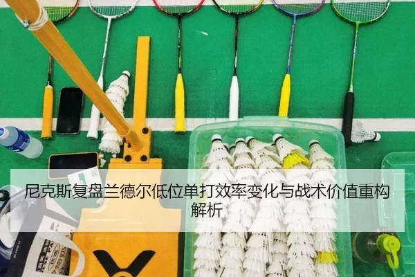 ni-ke-si-fu-pan-lan-de-er-di-wei-dan-da-xiao-lv-bian-hua-yu-zhan-shu-jia-zhi-zhong-gou-jie-xi-2-950.jpg